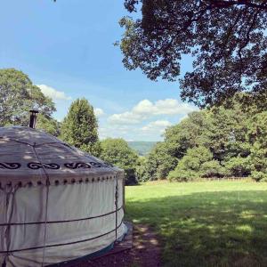 a yurt in the middle of a field at Eisa Yurt in York