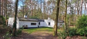 una casa bianca in mezzo a una foresta di Knabbel en Babbel a Lochem