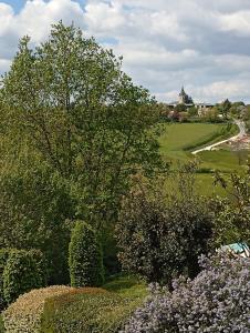 un jardin avec un arbre et des buissons ainsi qu'une maison dans l'établissement Quietude, à Périgueux