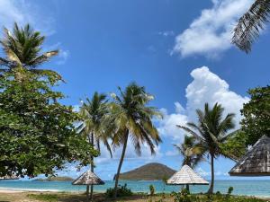 uma praia com palmeiras e o oceano com em Castles Apartments em Castries