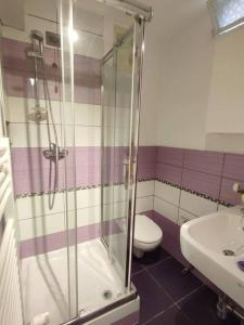 een badkamer met een douche, een toilet en een wastafel bij Incantevole Monolocale Balilla Centralissimo Int 3 in San Benedetto del Tronto