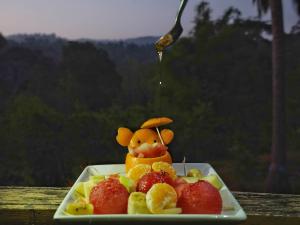 a plate of fruit with a teddy bear on top at Wild Grass Resort in Port Blair
