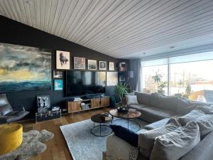 een woonkamer met een bank en een tv bij Spacious & luxurious family home w hot & cold tub & sauna in Reykjavík
