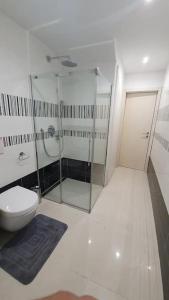 een badkamer met een douche en een toilet bij Apartment with Sea View and jacuzzi in Koper