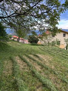 Paesaggio naturale nelle vicinanze dell'appartamento
