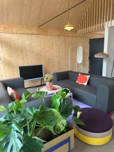 a living room with a couch and some plants at Adventure Camp Schnitzmühle in Viechtach