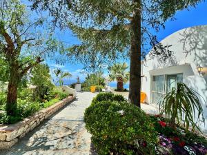 Jardí fora de Villa Azul