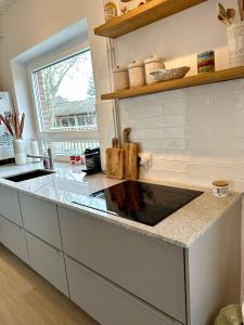 een keuken met een spoelbak en een aanrechtblad bij Ferienhaus Sandbar direkt am Deich in Spieka-Neufeld