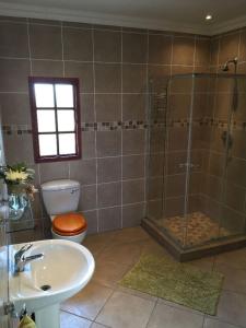a bathroom with a shower and a toilet and a sink at Sanctuary Life Guest Farm in Magaliesburg