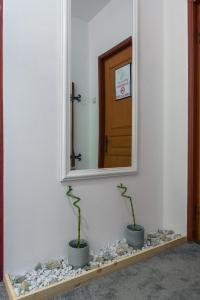 a mirror on a wall with two plants on a shelf at Vila Pufu in Slănic-Moldova