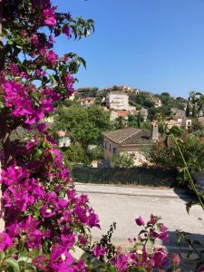 Blick auf eine Stadt mit rosa Blumen in der Unterkunft small house 6p in bormes, quiet , hill-view in Bormes-les-Mimosas
