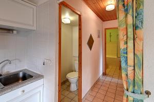 a bathroom with a sink and a toilet at Les Chênes Rouges - Appt avec piscine partagée in Gérardmer +8 photos