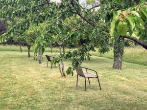 three park benches sitting in the grass under trees at Auberge d'ici et d'ailleurs in Cressensac