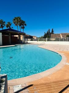a large blue swimming pool with palm trees in the background at Petite villa au calme dans résidence avec piscine in Fréjus