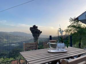 Příroda nedaleko prázdninového domu