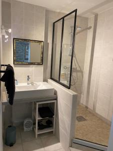 a bathroom with a sink and a shower at L'Usine en Provence in Salernes