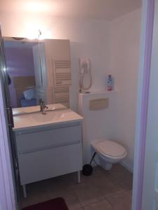 uma casa de banho com um lavatório e um WC em Auberge des 7 ecluses em Rogny