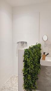 - une salle de bains avec une plante verte à côté d'un lavabo dans l'établissement Chambre d'amour, à Villeneuve-lès-Avignon