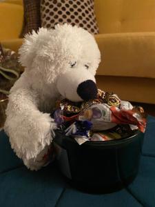 a white teddy bear is sitting in a container at BROWARNA apartamenty Tanie Spanie in Elblag