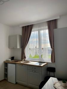 a kitchen with a sink and a window at Casa Bursucilor in Moşniţa Nouă +15 photos