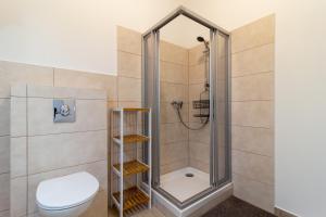 a bathroom with a shower with a toilet at Apartment 4you in Oberpullendorf