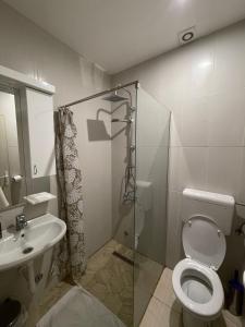 a bathroom with a shower and a toilet and a sink at Apartments & Rooms L E F T RIVER Belgrade in Belgrade