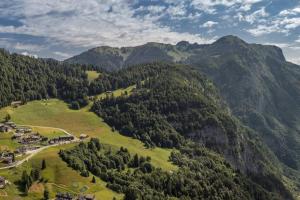 an aerial view of a mountain valley with trees at Una stanza panoramica a Sauris - Friland in Sauris