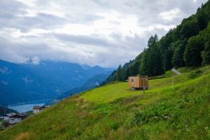 a tiny house on a grassy hill next to a lake at Una stanza panoramica a Sauris - Friland in Sauris