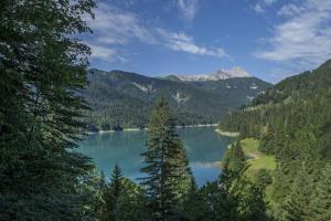 vistas a un lago con árboles y montañas en Una stanza panoramica a Sauris - Friland, en Sauris