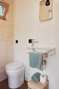 a bathroom with a toilet and a sink at Una stanza panoramica a Sauris - Friland in Sauris