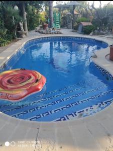a swimming pool with a lifesaver in the middle at Alojamiento Ruizo in Lorca