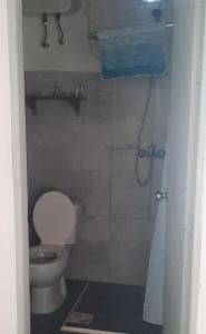 La salle de bains est pourvue de toilettes et d'une cabine de douche. dans l'établissement Confortable apartamento-monoambiente en Mercedes, à Mercedes