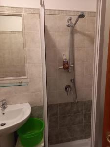 uma casa de banho com um chuveiro e um lavatório. em La Casa di Cardini em San Giacomo