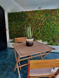 einem Holztisch mit einem Kaktus neben zwei Bänken in der Unterkunft Villa La Caletta in Carloforte