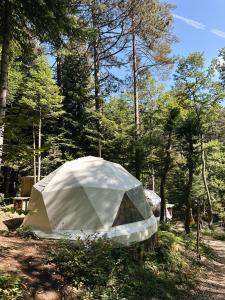 a tent sitting in the middle of a forest at Ala Glamping in Mudurnu