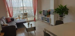 uma sala de estar com um sofá e uma televisão em Appartement T2 à 10 min de Montpellier em Vendargues