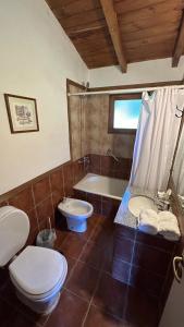 a bathroom with a toilet and a tub and a sink at Las Cumbres Apart & Suites in San Martín de los Andes