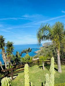 un jardín con palmeras y el océano en Villa Laura en Coccorino