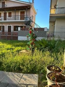 a house with a flower bush in the yard at Rodon Premium in Kalavrita