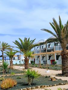 un complejo con palmeras delante en Apartamento Reload Complex Amaya Fuerteventura, en Costa de Antigua