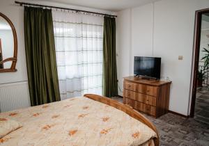 Dormitorio con cama y tocador con TV en Complex Agroturistic Flori, en Vaţa de Jos