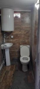 a bathroom with a toilet and a sink at Eka,s hotel in ortachala in Tbilisi City
