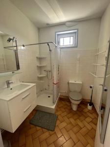 y baño con ducha, aseo y lavamanos. en Appartement les Mésanges en Le Poët-Laval