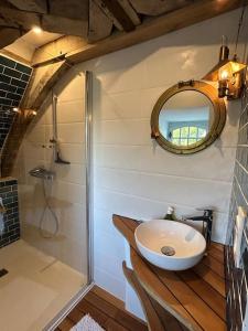 uma casa de banho com um lavatório e um espelho em Demeure La Lande Fleurie em Feneu