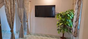 a television hanging on a wall next to a plant at Valerys Nest Bogmalo - Private villa near the beach and Dabolim airport in Bogmolo