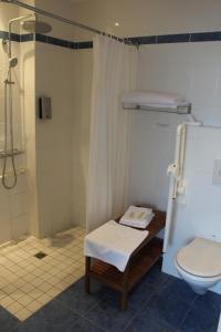 a bathroom with a toilet and a shower at Logis Hôtel Restaurant La Palette in Wettolsheim +45 photos