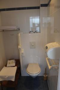 a small bathroom with a toilet and a sink at Hôtel Restaurant Logis La Palette in Wettolsheim