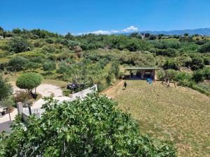 Gallery image of Apartmani Zekic in Lopar