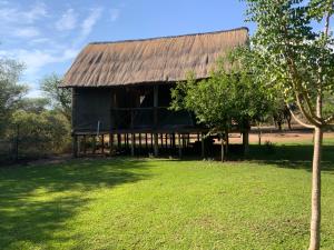 a large green building with a grass yard at Lorato Camping in Chobe