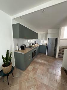 a kitchen with blue cabinets and a potted plant at Maison de village rénovée avec vue mer exceptionnelle in Sainte-Maxime